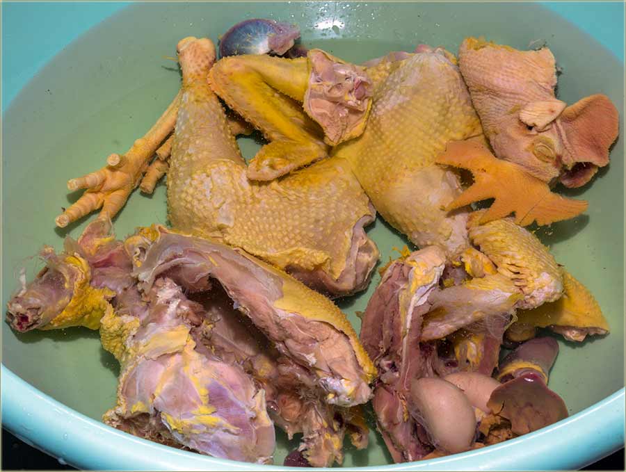 PriPoručivam..., zdravu rânu II ...