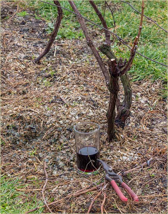 KodNâs Sv. Trivun..., kod komšija Sv. Valentin...