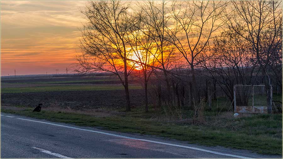 Tour de Crna Bara 2020 II ...