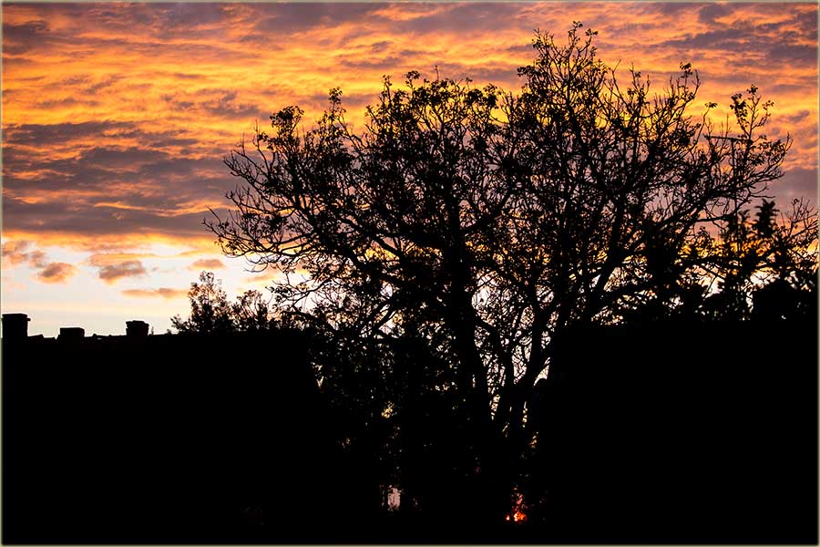 Karantinski zalazak Cûnca !!!