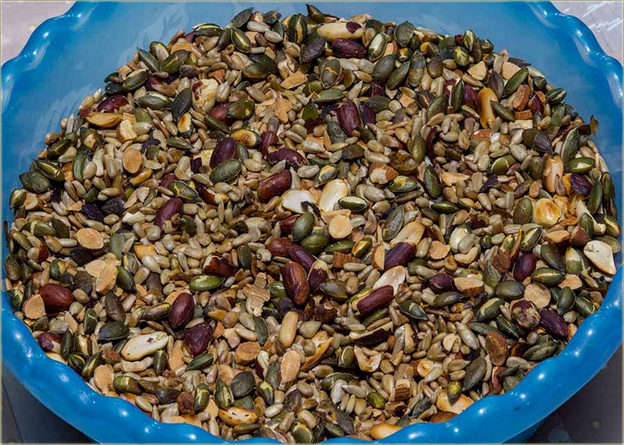 PriPoručivam..., zdravu rânu I ...