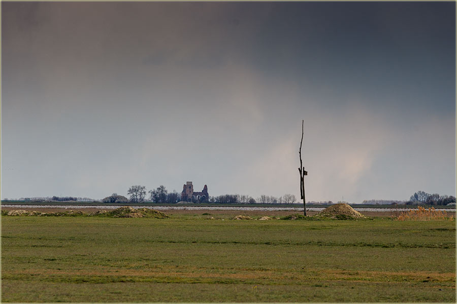 You Tube - Čačkalica - Tajnovita Arača !!!