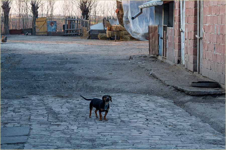 Ajd, probaj da ue !!!