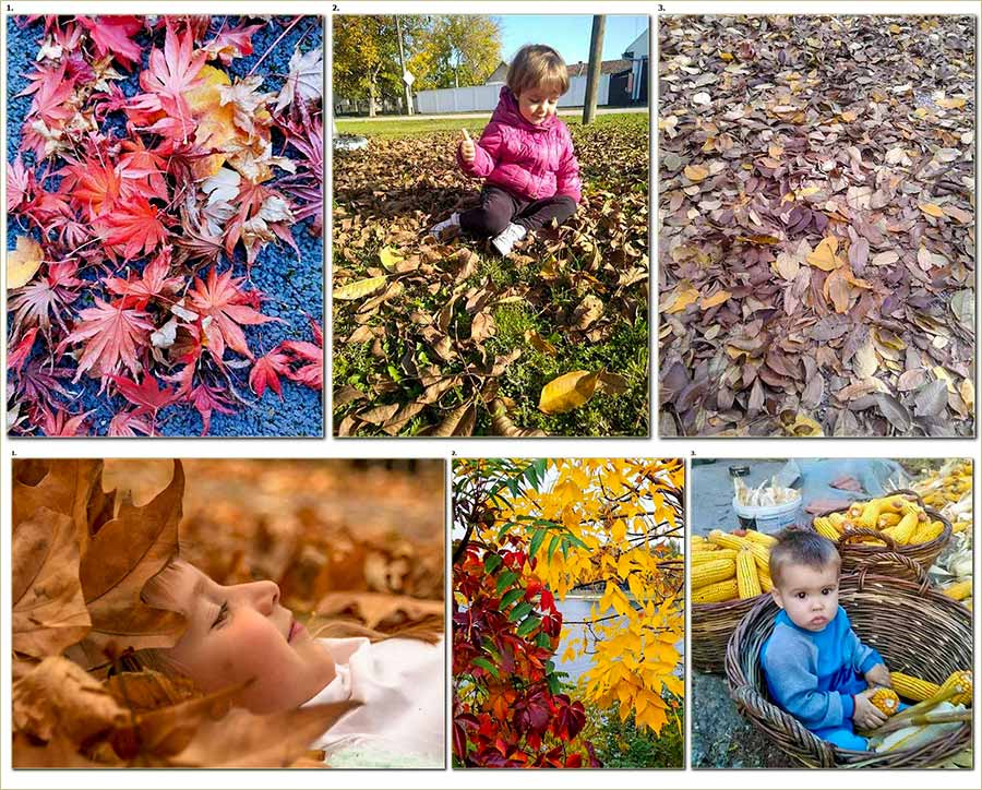 Foto konkurs, O Dr . Joanovi - rezultati !!!