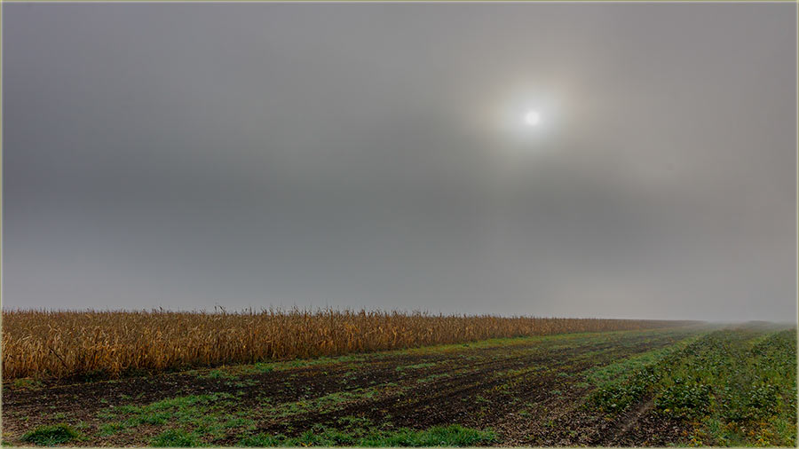 Prva, jesenja slika..., rvnog Banata...