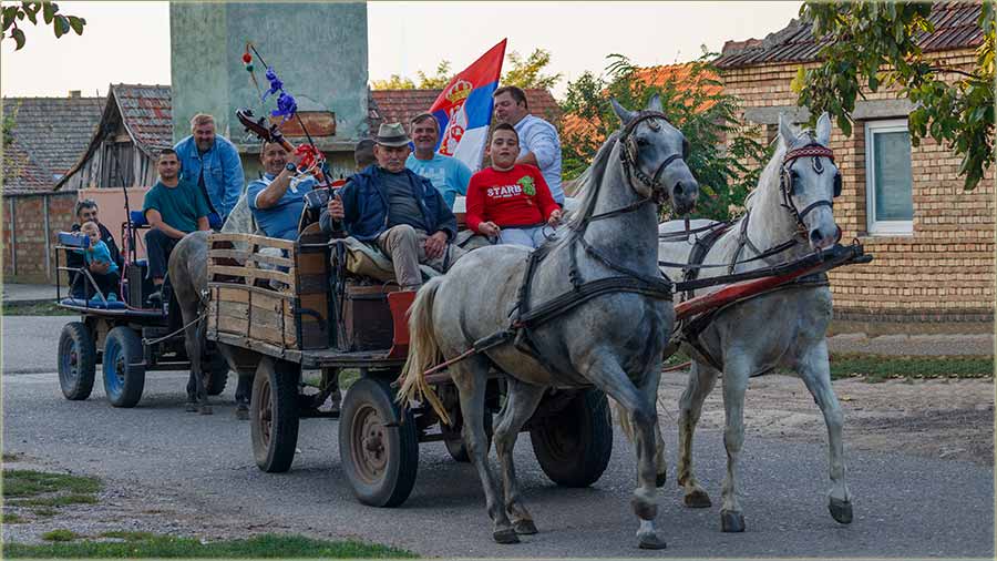 Rodijo se jo edan Miloefan i zove se Nikola !!!