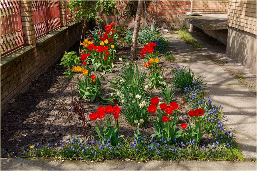 Ta nita brezNs Lla !!!