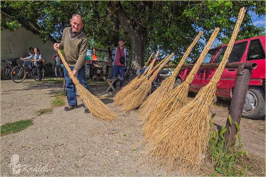 Vranjevake, metle korovue...
