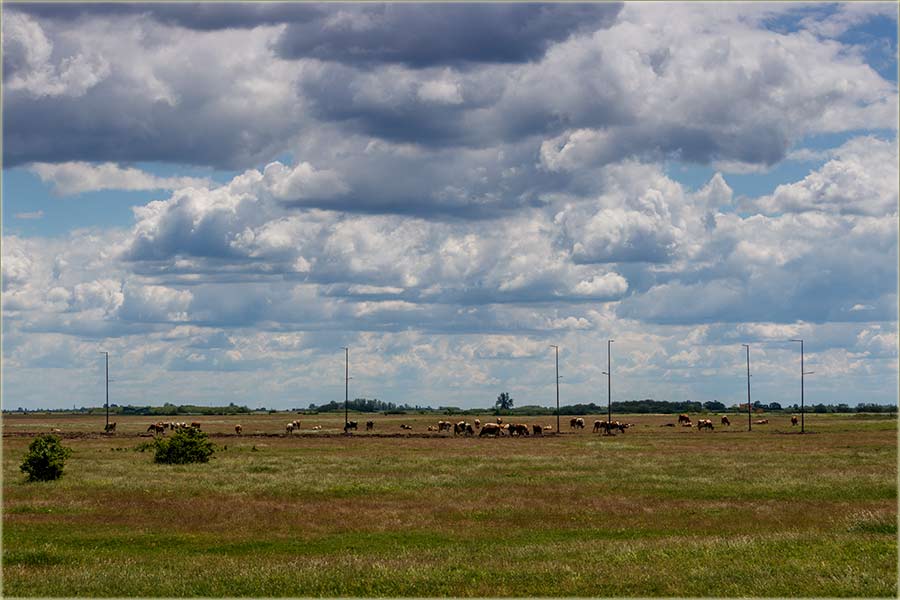 Deo novomiloevakog panjaka - urbarna sredina !