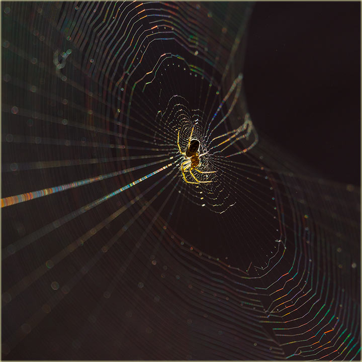 Ta gle kako je straan !!!