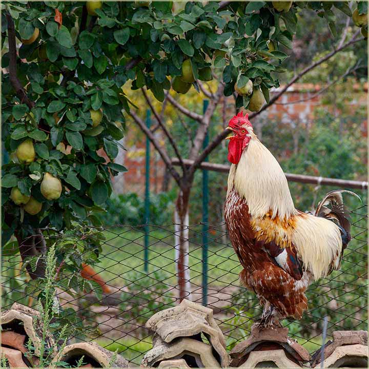 Prvi, jesenji dan 2021-ve...