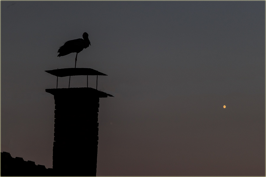 Roda i Venera, u pogled iz Novog Miloeva !!!