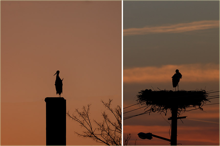 Nije svejedno..., briga je to !!!