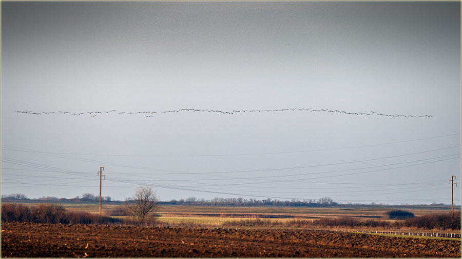 Volem kad ujem, vidim... i rim dobru vest...