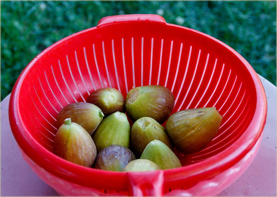 Probajte ovako da kaete - SMOKVA i SMOKVICA !!!