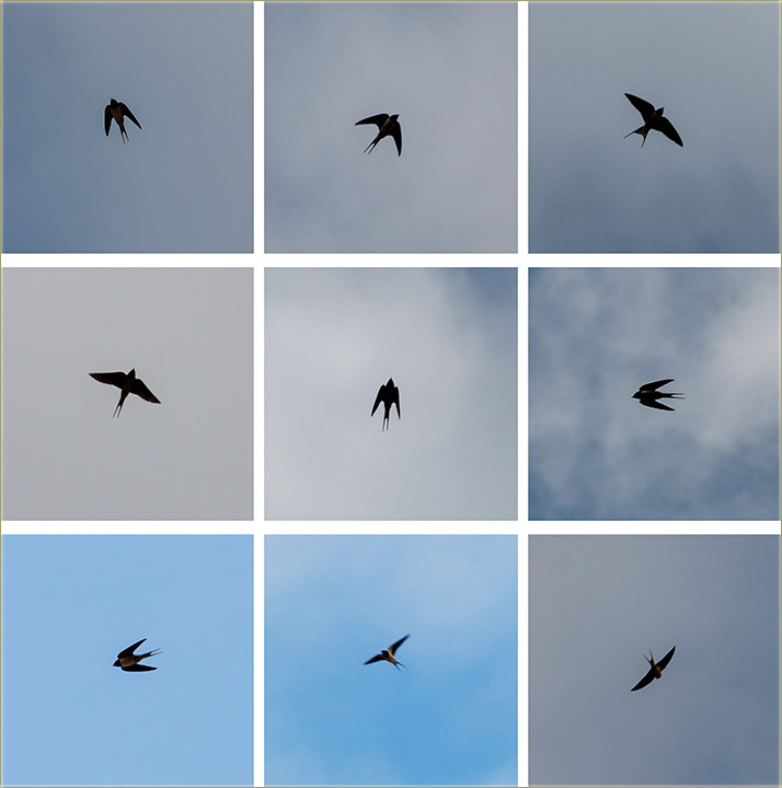 Stigle su nam i lasteee !!!