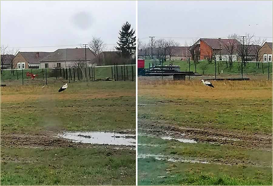 Rozalija Keke - Stigli i kod nas !!!