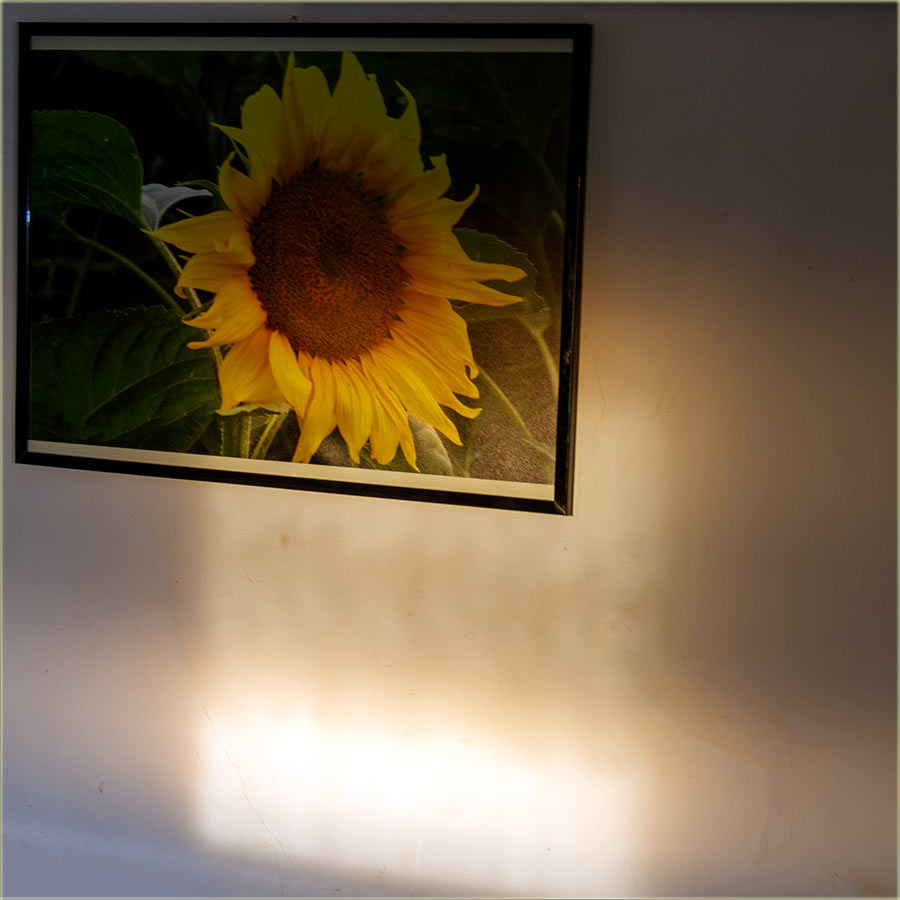 im je udarilo Cunce krozPender...