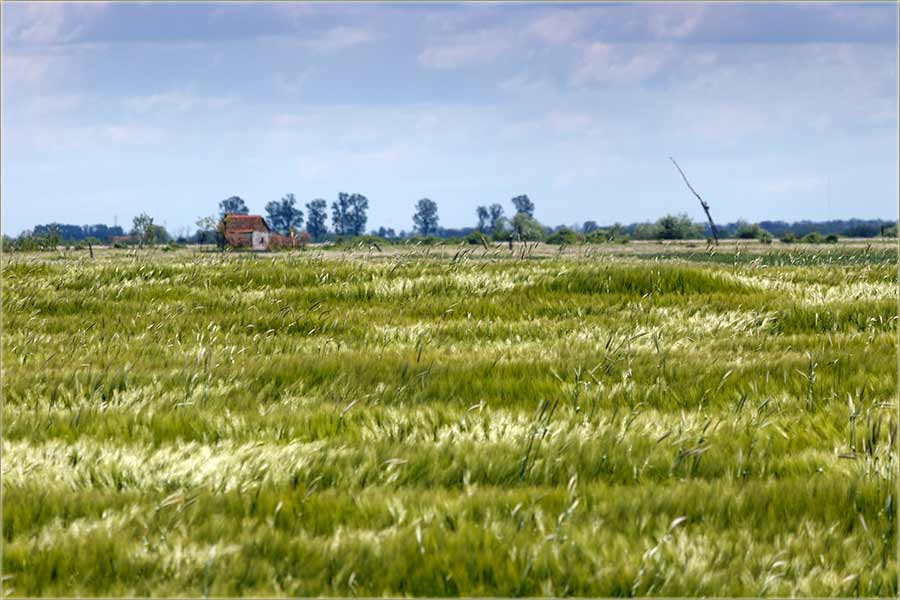 Talasanje Panonskog mora !!!