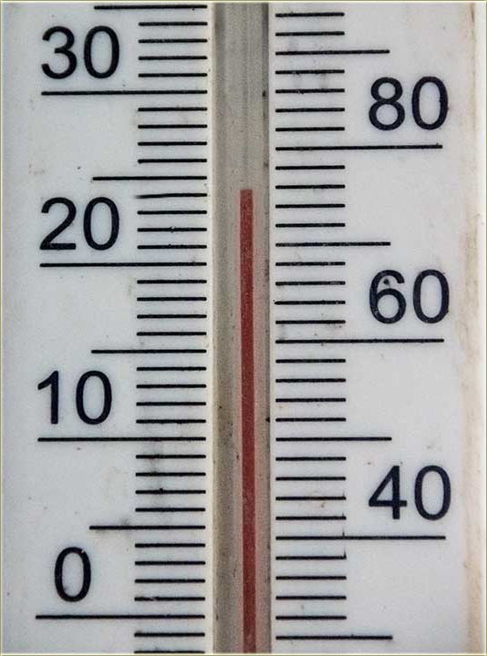 Kako podnosi, ove dnevne, visoke tamparature ?