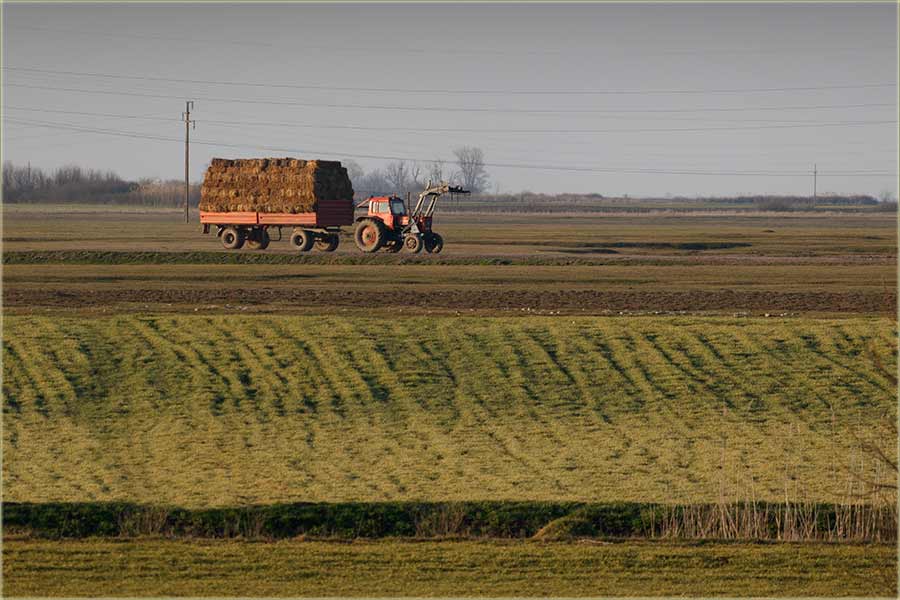 Borba oko rne za marvu !!!