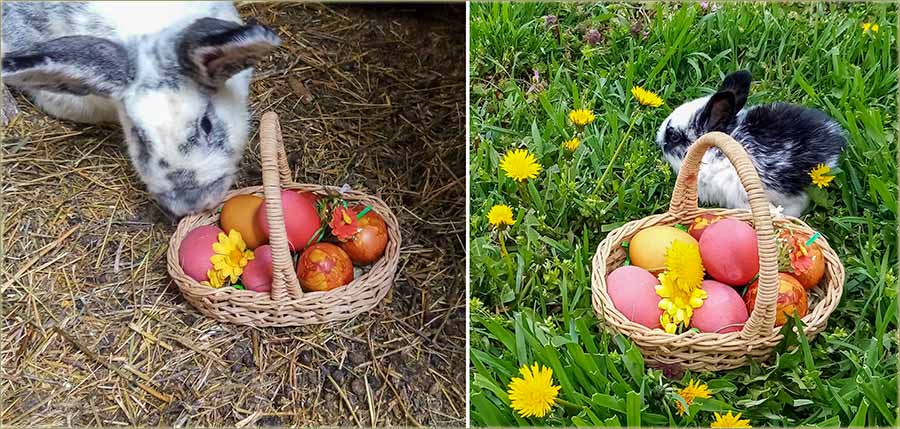 Boldog hsvti ünnepeket kvnok !!!