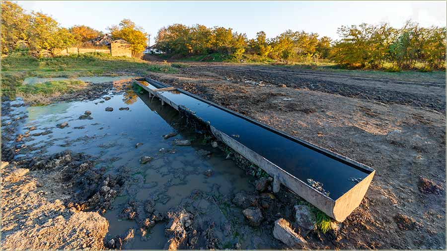 Vlov za mrvu, na oak kod Tobijaa i Varge...