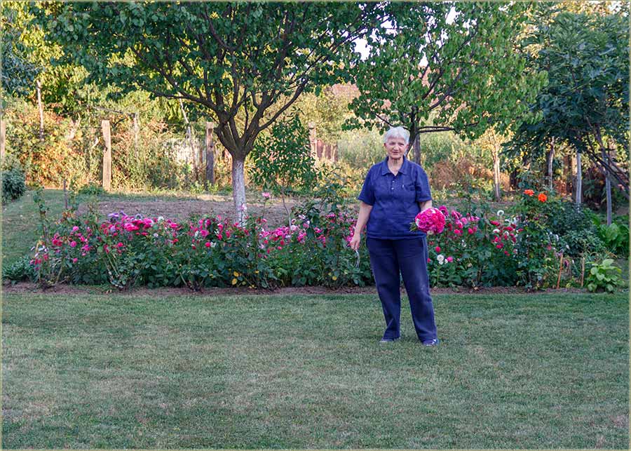 Kominicina cvena baica...