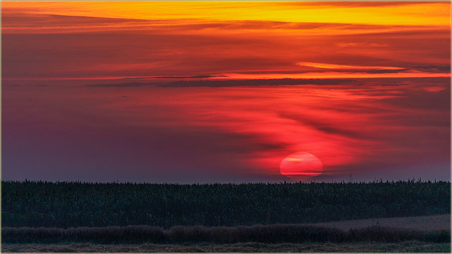 Osnovno, letnjo pravilo za kuu !!!