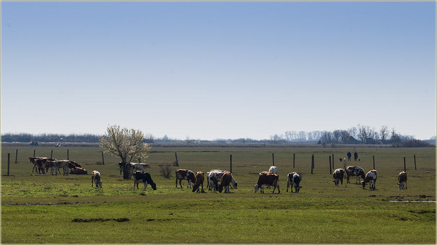 Na atar, sKrajom marta...