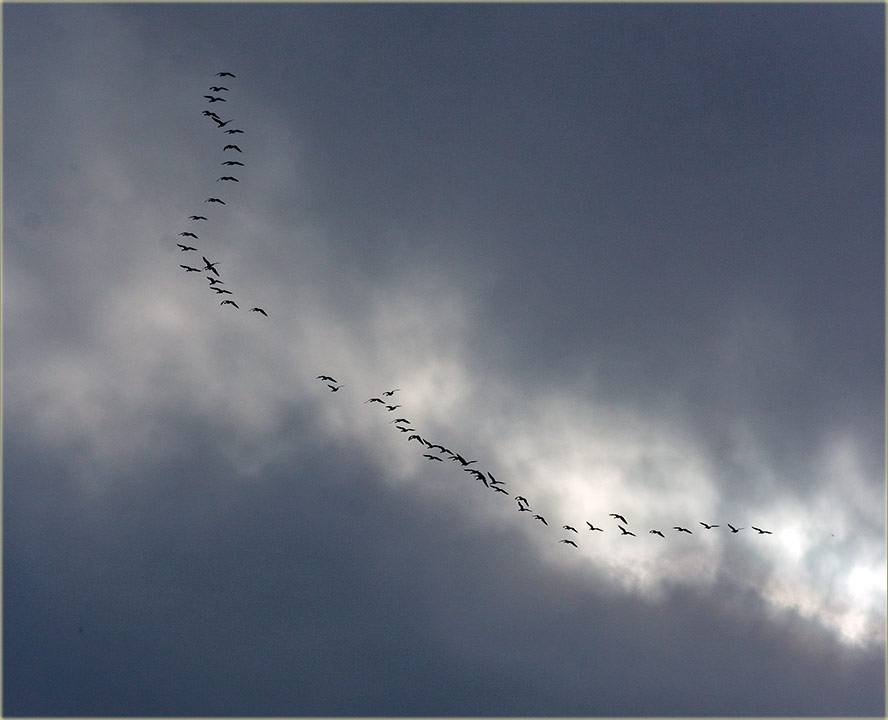Kraj lovne sizone...