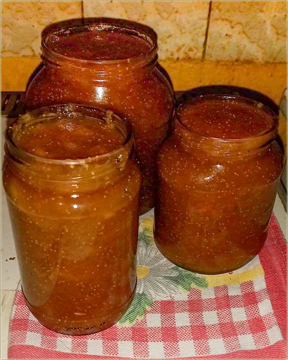 Zorica Batovanov-Palainke zDemom (od smokava).