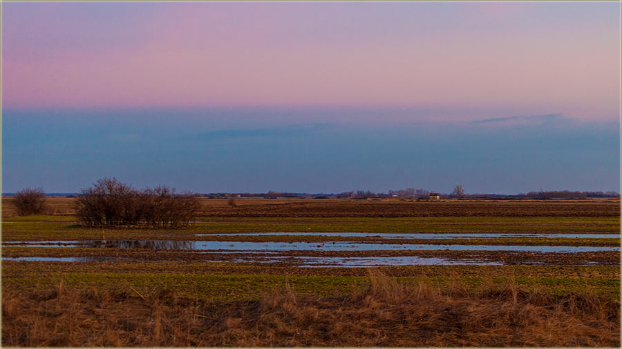 Eh..., ta ravnica banatcka...