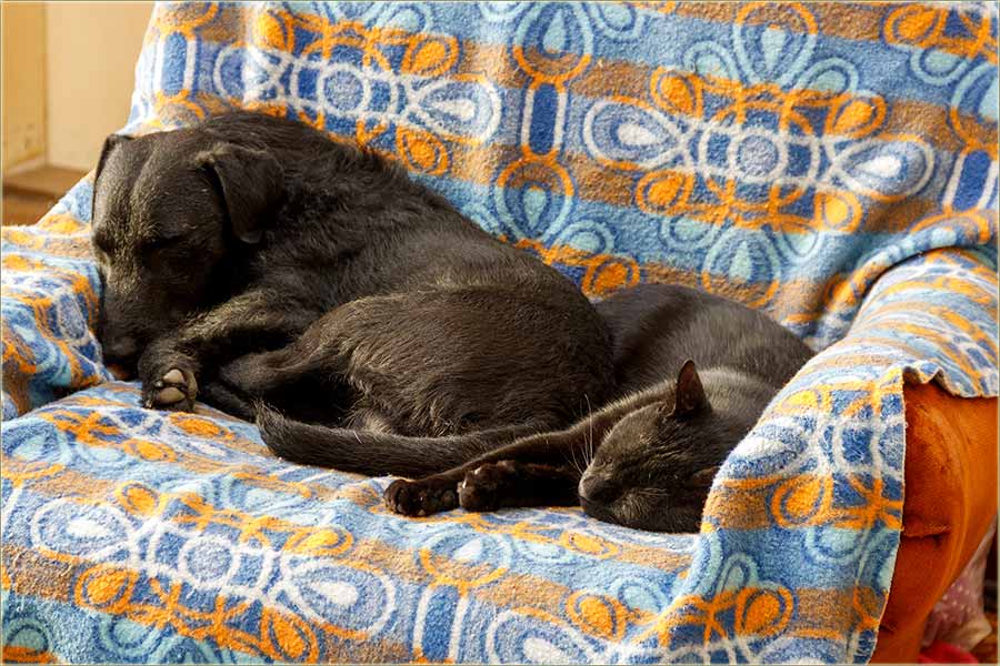 Jedno doDrugo, a na zajedniku fotelju !!!