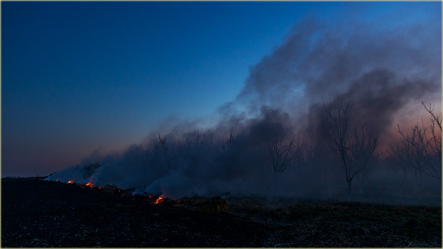 Sve to mo, mora da propadne, zbog uvoznika !!!
