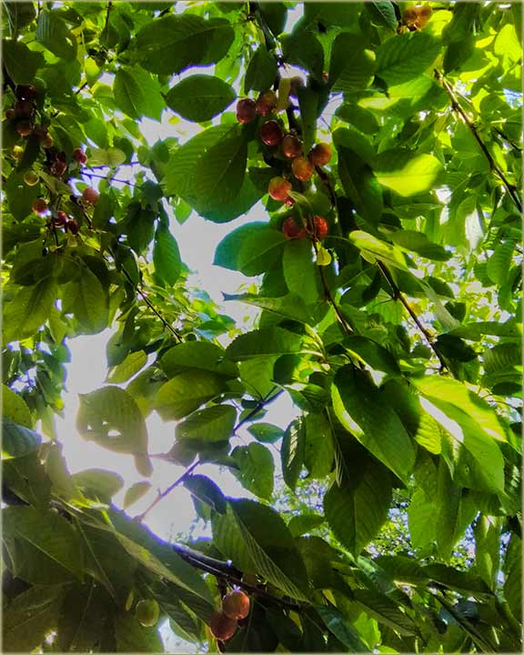 Kovaev Aleksa Lala - kod mene zrêdu trenje