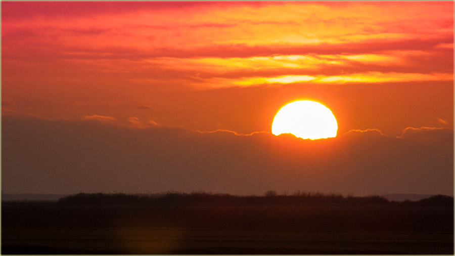 Jeste nadzornie, tano, dani su sve dui !!!