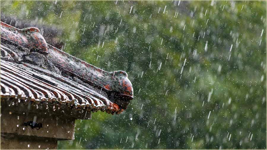 Jueraske zajtra, smo se mlko razLadili !!!