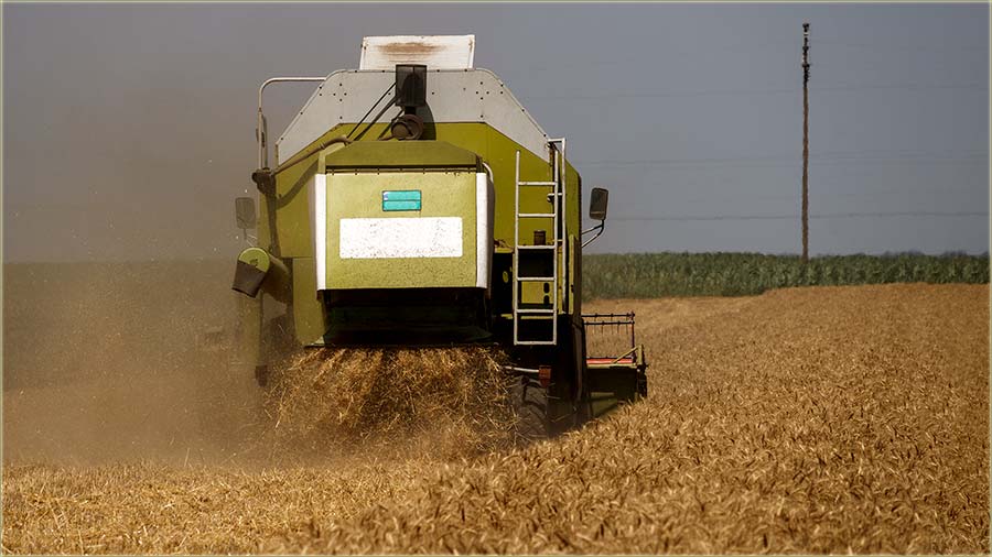 Vlast jo uvek rauna, kolko da opljaka paore !!!