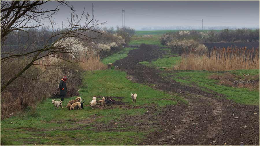 E nek proba neko i da ga pogleda popreko !!!