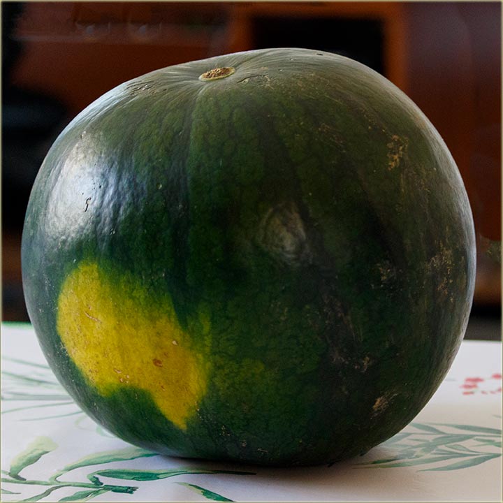 Sve se priOkrenilo, na ovim svêtu !!!