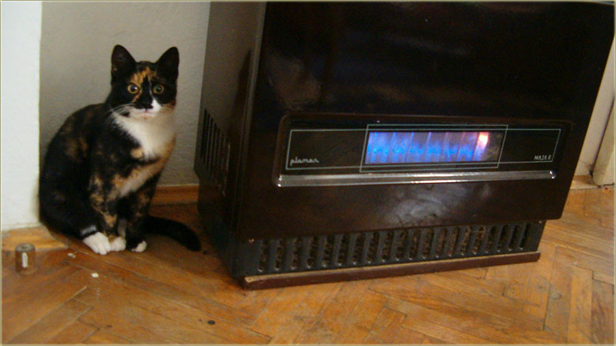 Kako emo se grijati..., ove zime ?!?