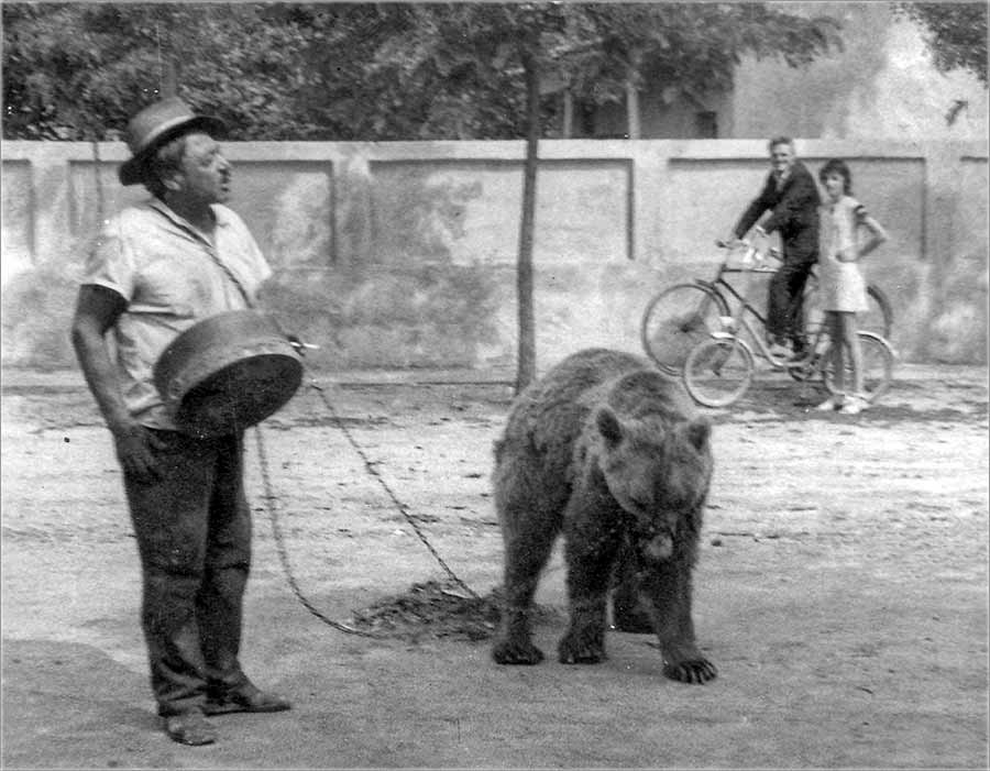 Aleksandar Tina Zvijer - Igra meka !!!