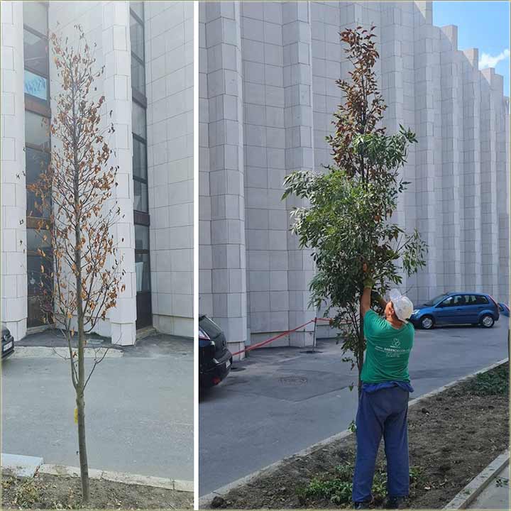 NaPR′Dnjaci i njine sve vee gluposti !!!