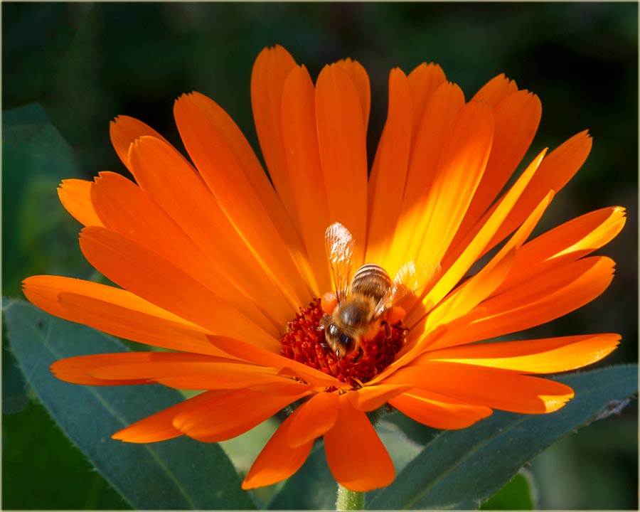 Kav da je prolee..., a ne jesen...