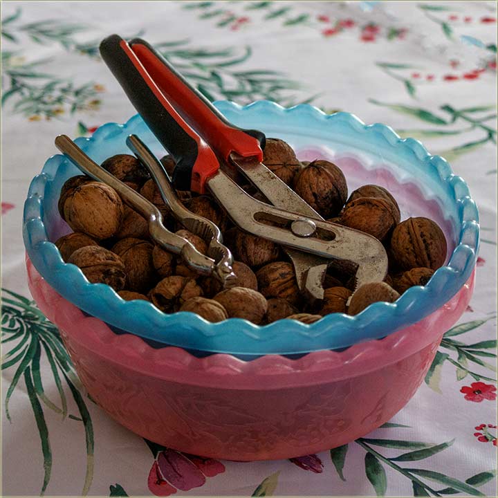 ta ti radidu kljete papagajke me oraje ?!?