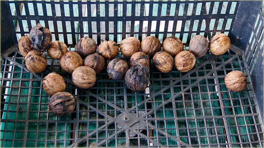 Dal znate, ta ovo naSliku znai ?