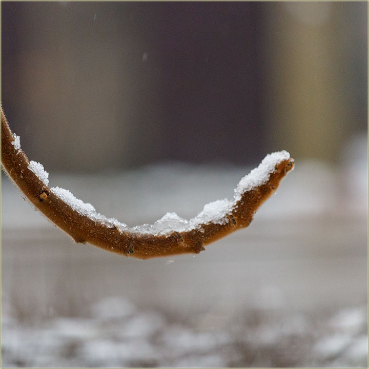 Prvi sneg sizone 2021/2022-ge, a kodNas u NM ?