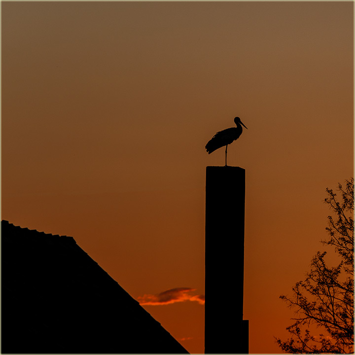 U ovu kuu, e cigurno, uskoro biti prinova !!!