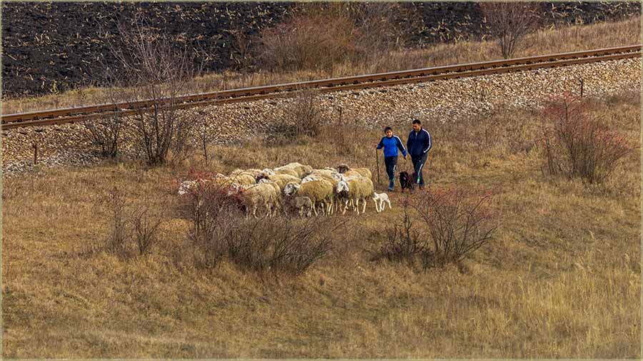 im bidne lepe vreme...